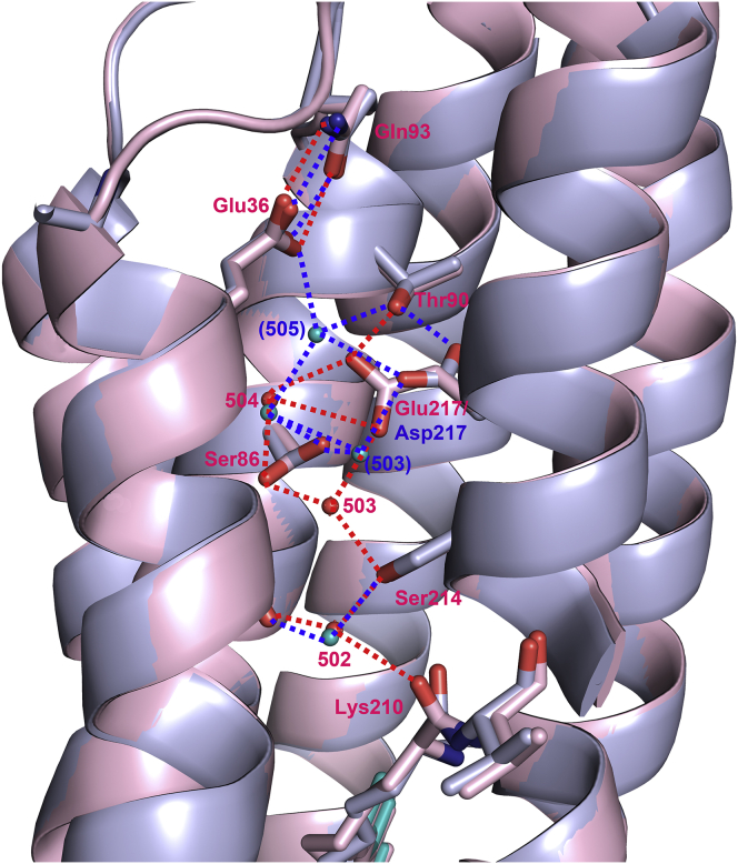 Figure 5