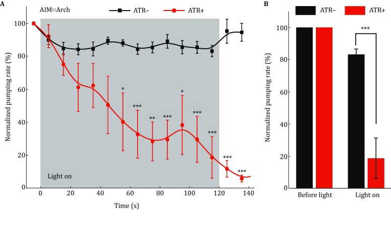 Fig. 4