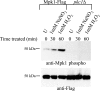 FIG. 5.