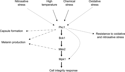 FIG. 10.