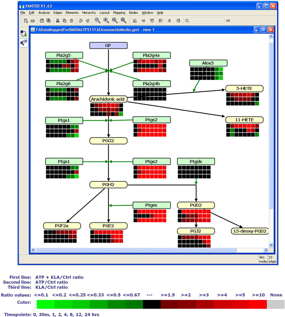 Figure 20