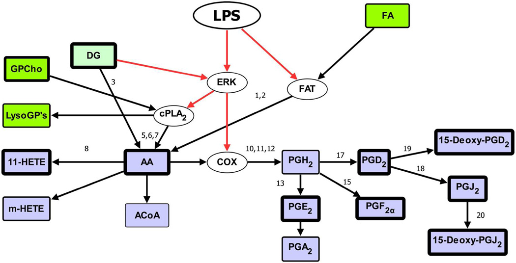 Figure 25