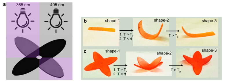 Figure 44