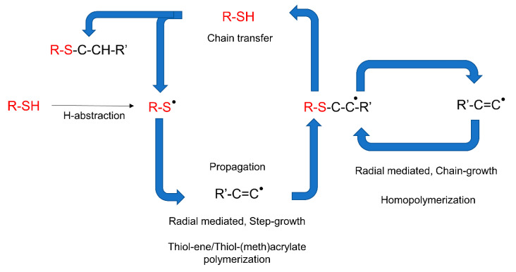 Figure 24