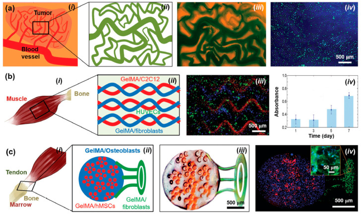 Figure 38