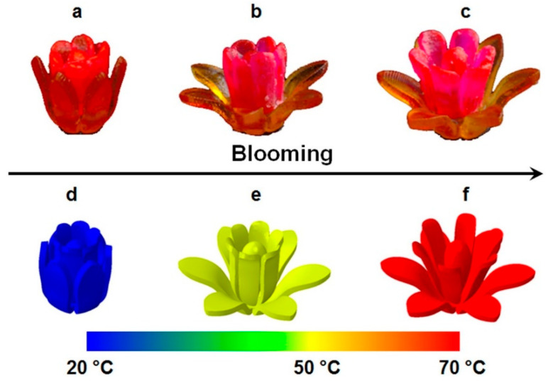 Figure 42