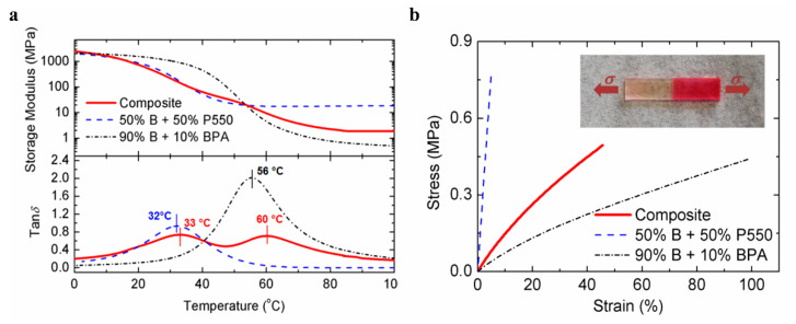 Figure 50