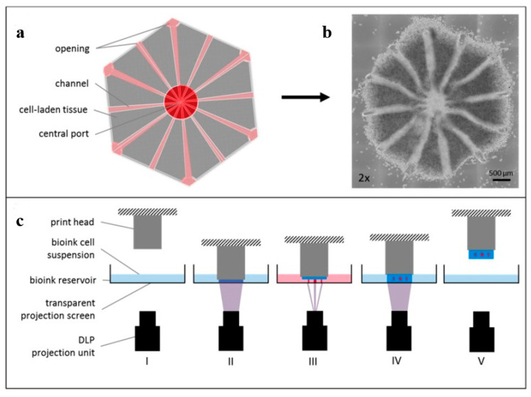 Figure 37