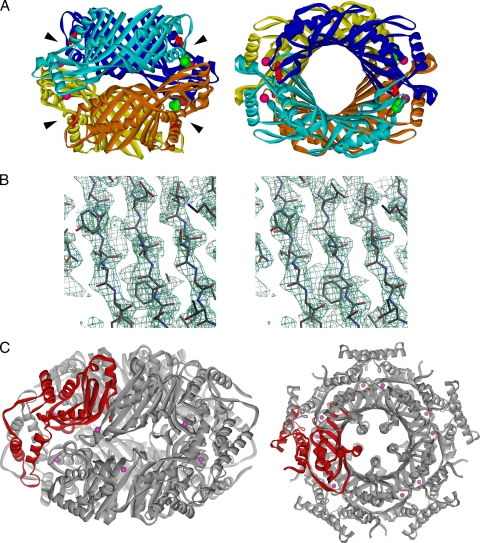 FIG. 5.