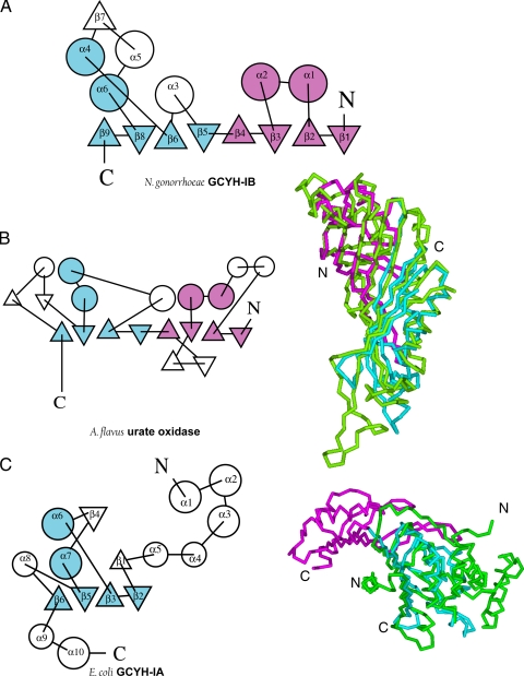 FIG. 6.