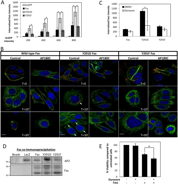 Fig 4