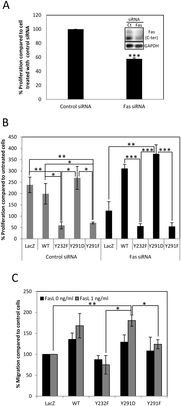 Fig 5