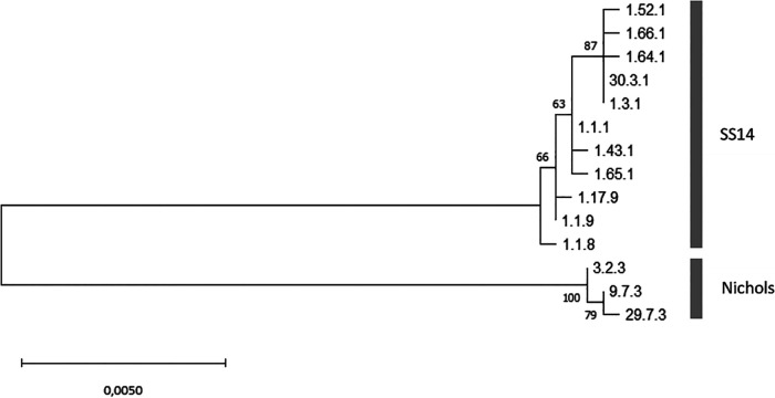 FIG 2