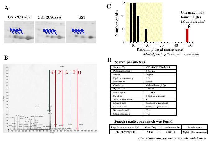 Fig. 3