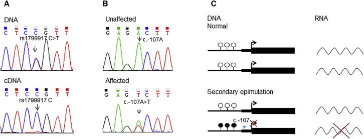 Figure 3