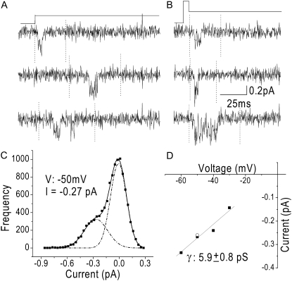 FIGURE 3