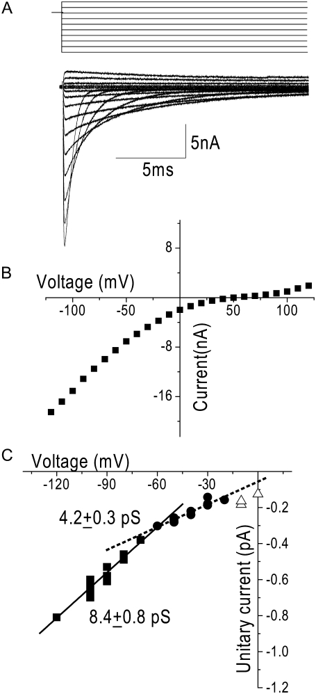 FIGURE 4