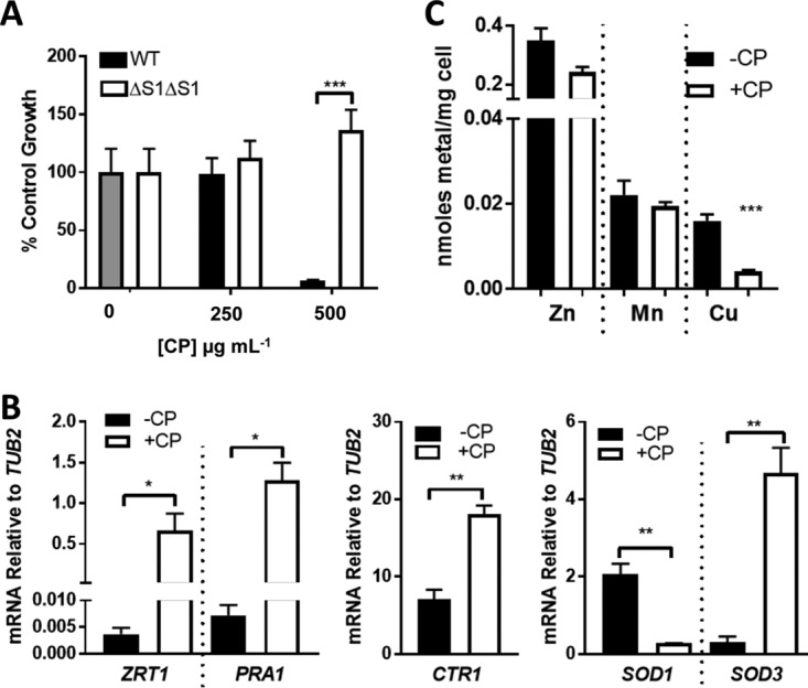 FIG 3