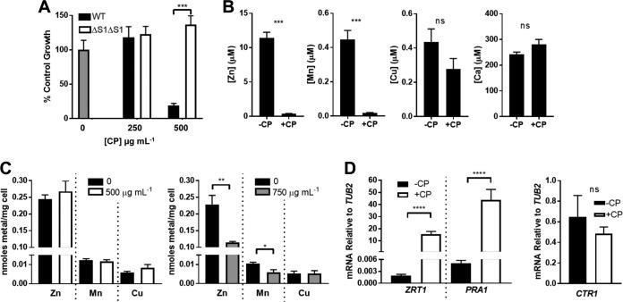 FIG 1