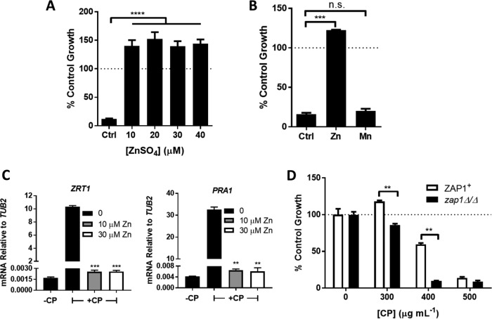 FIG 2