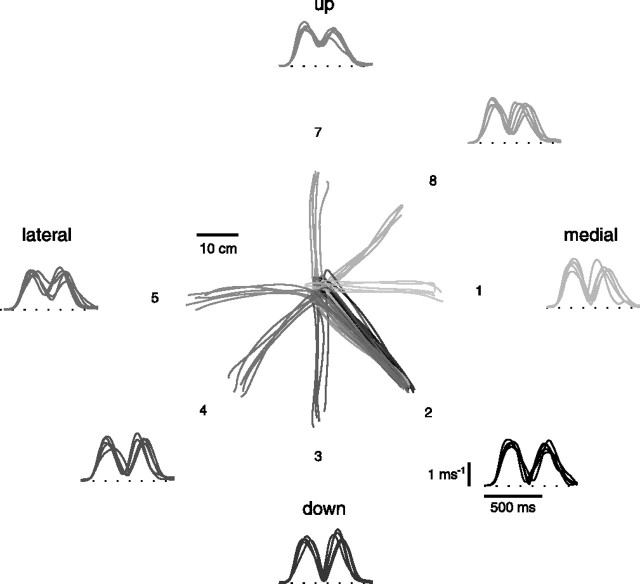 Figure 13.