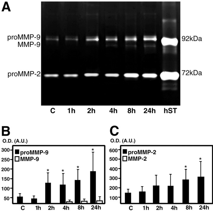 Figure 4.