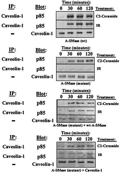 FIG. 7