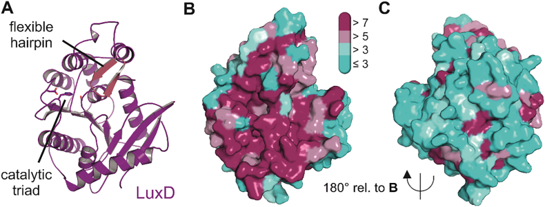 Fig. 4