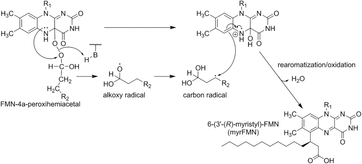 Scheme 6