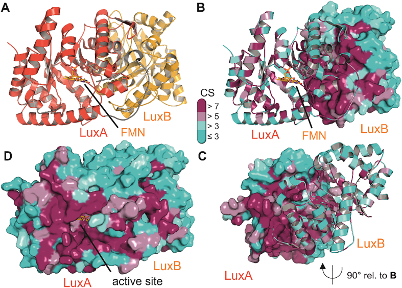 Fig. 3