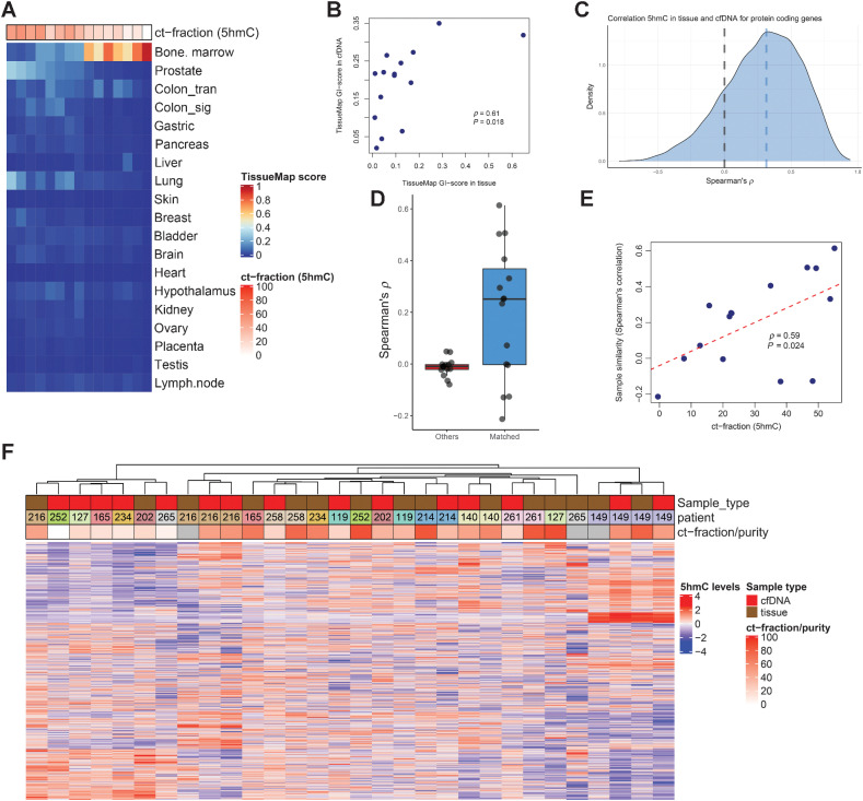 Figure 6. Concordance of 5hmC patterns in 15 matched tissue and cell-free DNA samples. A, Tissue Map scores for 15 cell-free DNA samples with matched tissue 5hmC-sequencing available. Predicted ct-fraction is determined using a novel 5hmC-classifier. Patients DTB-149 and DTB-216 had two paired samples at two different timepoints available with 5hmC-sequencing, but not other data modalities and were thus included in this paired analysis but not in integrative analyses. B, Scatterplot for Tissue Map 5hmC GI-score in tissue and cell-free DNA for the 15 matched pairs of samples. C, Spearman's correlation between tissue 5hmC gene body counts and cell-free DNA gene body counts. Blue dashed line represents median correlation. D, Box and whiskers plot showing correlation for 5hmC gene body counts in tissue and cell-free DNA for matched pairs (N = 15, blue box) and for average correlation to non-matched pairs (N = 15, red box). E, Scatterplot for sample similarity of matched tissue and cell-free DNA samples (N = 15) measured by Spearman correlation for 5hmC gene body counts of protein coding genes and predicted ct-fraction by 5hmC levels. F, Hierarchical clustering of matched 5hmC gene body counts in tissue and cell-free DNA samples using the top 10% most variable genes. Scaling (z-scores) was performed separately for cfDNA and tissue-derived samples. ct-fraction/purity is estimated from 5hmC-sequencing (cfDNA samples) or from WGS (tissue). Boxplot shows median with hinges at 25th and 75th percentiles and whiskers at largest/smallest value within 1.5× inter quartile range.