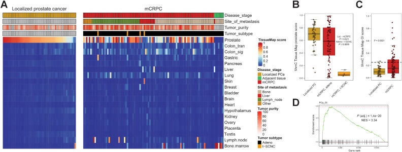 Figure 3. mCRPC lose prostate 5hmC marks and gain marks indicative of de- and trans differentiation. A, 5hmC Tissue Map scores were calculated for prostate cancer tissue samples predicting similarity to various tissues. Benign; benign prostate tissue, Localized; localized prostate cancer, mCRPC; metastatic castration-reisistant prostate cancer, NT; normal adjacent tissue (to mCRPC biopsy). Other means other metastatic soft tissue site. B, Box and whiskers plot for 5hmC Tissue Map prostate score for localized prostate cancer (N = 52), mCRPC adenocarcinoma (N = 89) and treatment-emergent small cell neuroendocrine prostate cancer (t-SCNC) (N = 4). C, Box and whiskers plot for 5hmC Tissue Map combined gastrointestinal (GI) score (sum of the score in colon, gastric, liver and pancreatic tissue) for localized prostate cancer (N = 52) and mCRPC (N = 93). Horizontal line is drawn at a 5hmC GI score of 0.25, which classifies 4% of localized prostate cancer and 34% of mCRPC as having gained 5hmC GI patterns, similar to what has been previously reported at the gene expression level (42). D, Gene set enrichment analysis for genes ranked by correlation between expression and the 5hmC GI score found the top pathway to be the previously described prostate cancer GI transcriptional signature. t-SCNC, treatment-emergent small cell neuroendocrine prostate cancer, NES; normalized enrichment score Boxplot shows median with hinges at 25th and 75th percentiles and whiskers at largest/smallest value within 1.5 * inter quartile range.