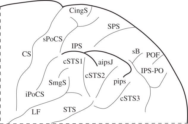 Figure 1.