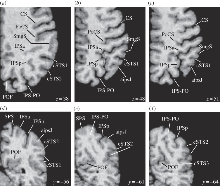 Figure 3.