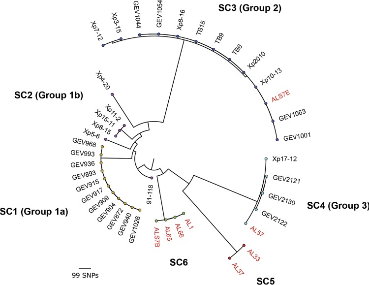 FIG 1