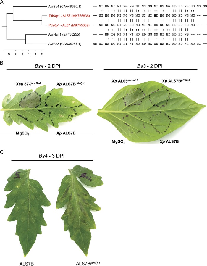 FIG 3