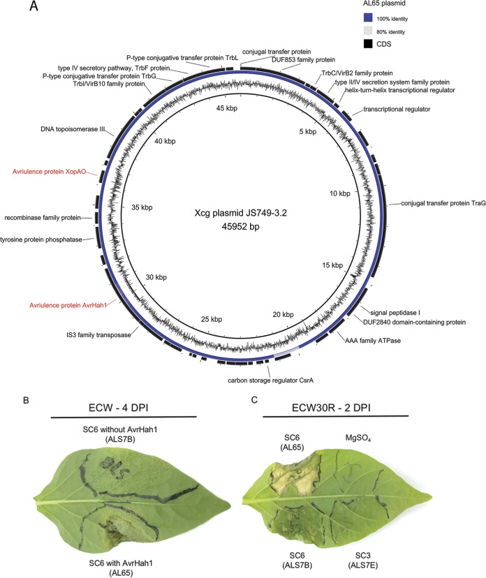 FIG 2