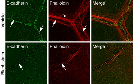 Figure 10.