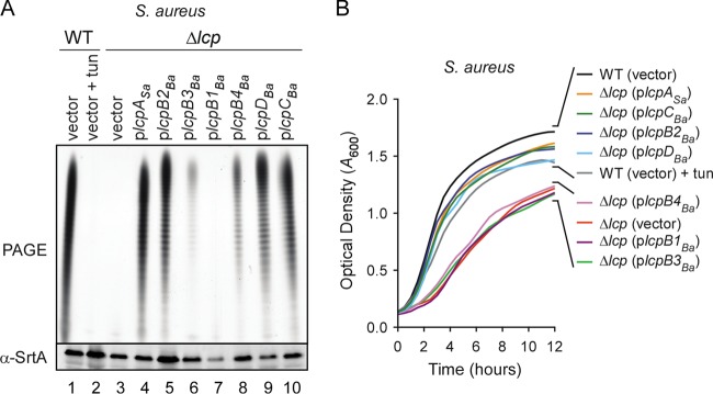 FIG 4