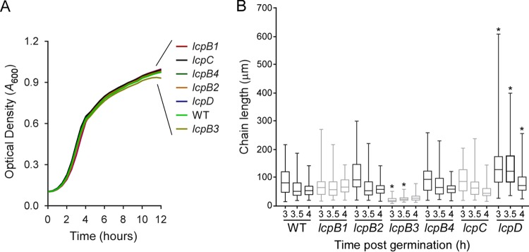 FIG 2