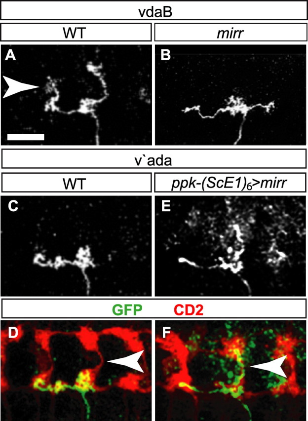 Figure 6.