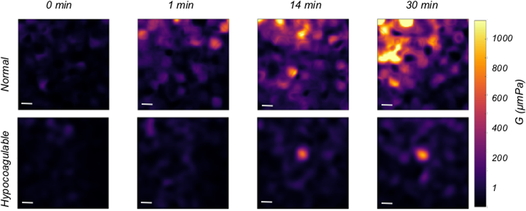 Figure 2: