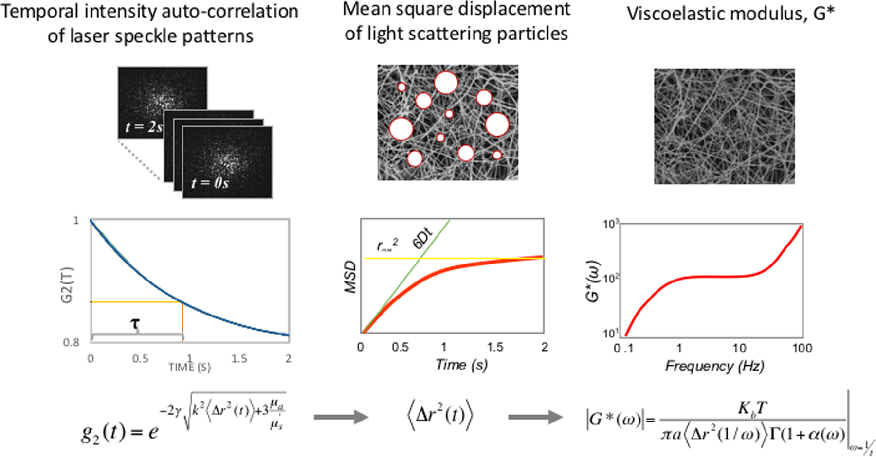 Figure 1: