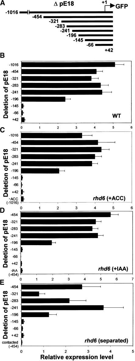 Figure 10.