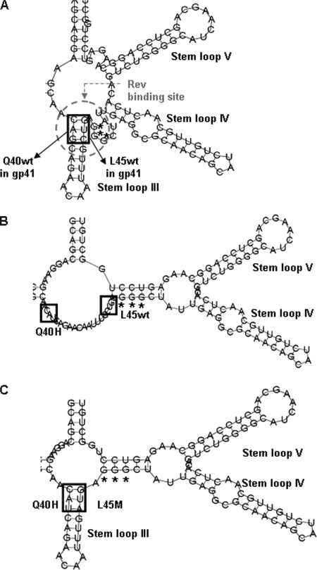 FIG. 4.