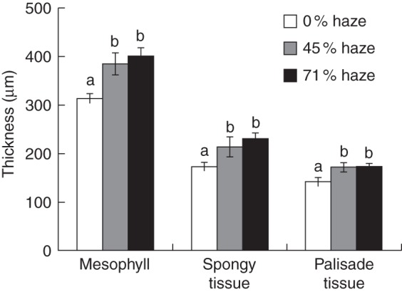 Fig. 7.