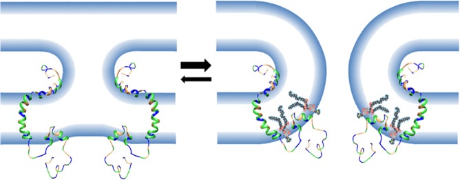 Fig 10