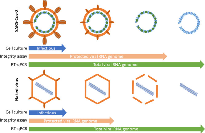 Image, graphical abstract