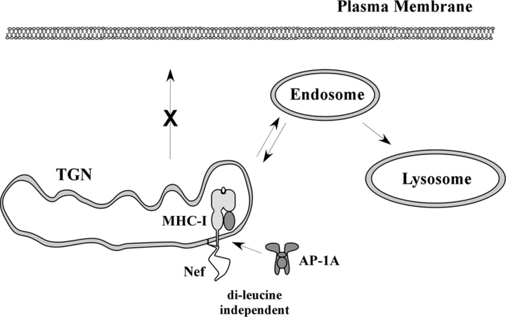 Figure 7.