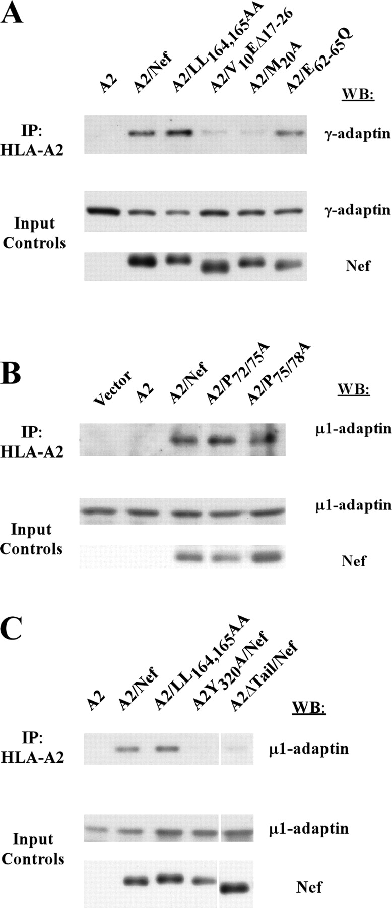 Figure 6.